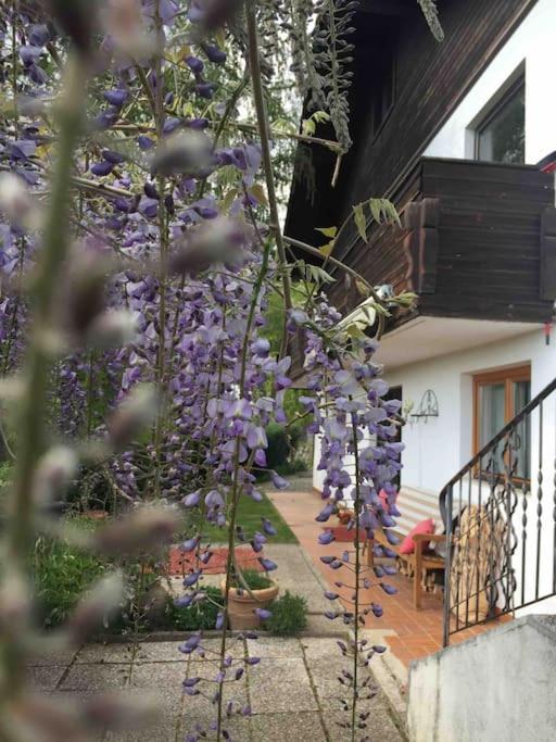 Charmantes Landhaus Mit Garten Und Traumhaftem Fernblick Thal  Esterno foto