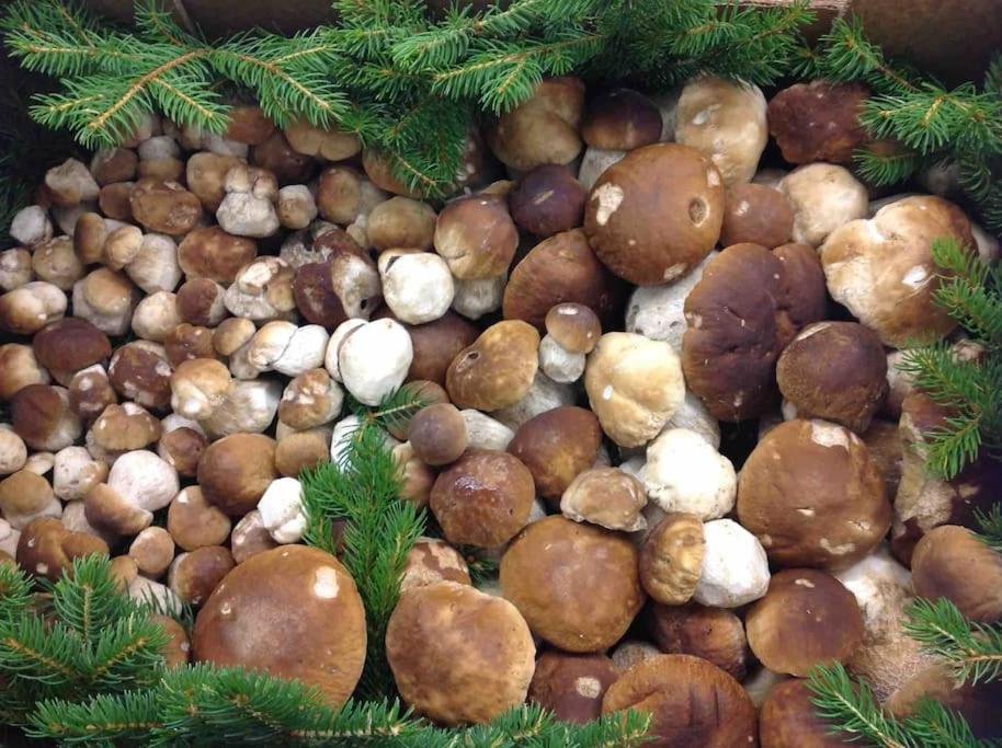 Charmantes Landhaus Mit Garten Und Traumhaftem Fernblick Thal  Esterno foto