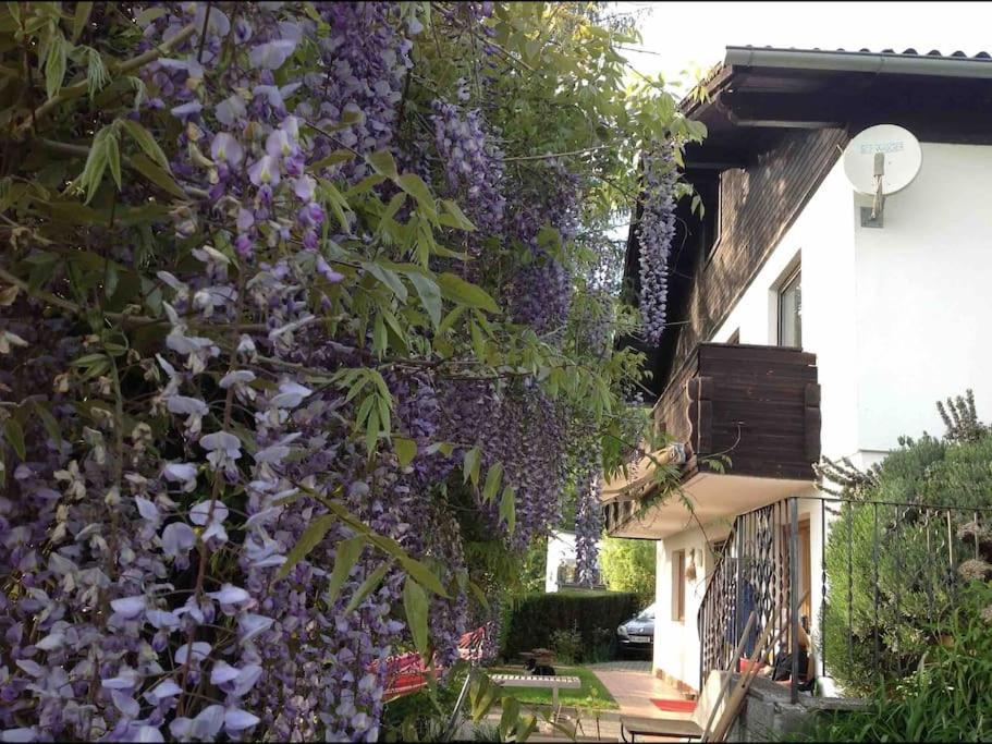 Charmantes Landhaus Mit Garten Und Traumhaftem Fernblick Thal  Esterno foto