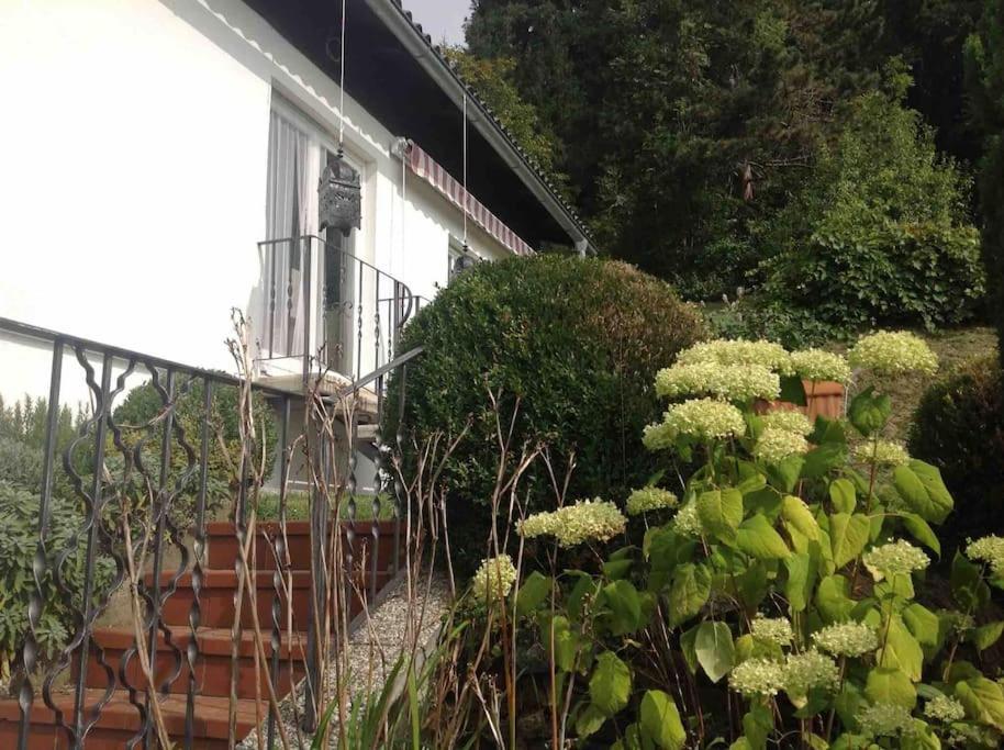 Charmantes Landhaus Mit Garten Und Traumhaftem Fernblick Thal  Esterno foto
